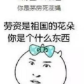 搞笑的顺口溜,趣味横生的搞笑顺口溜大盘点