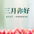 三月一直你领先打一字,揭秘‘一直领先的奥秘与魅力”